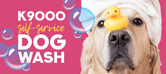 Self Service Dog Wash