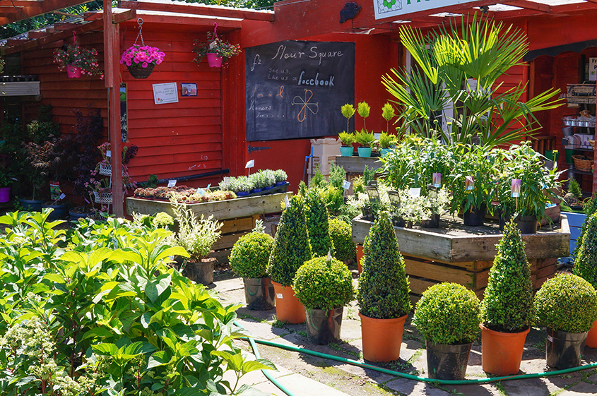 0YvswXS7Ld94XCeP0ZjnrP3DUJNvNhpu1TMkX0Qn