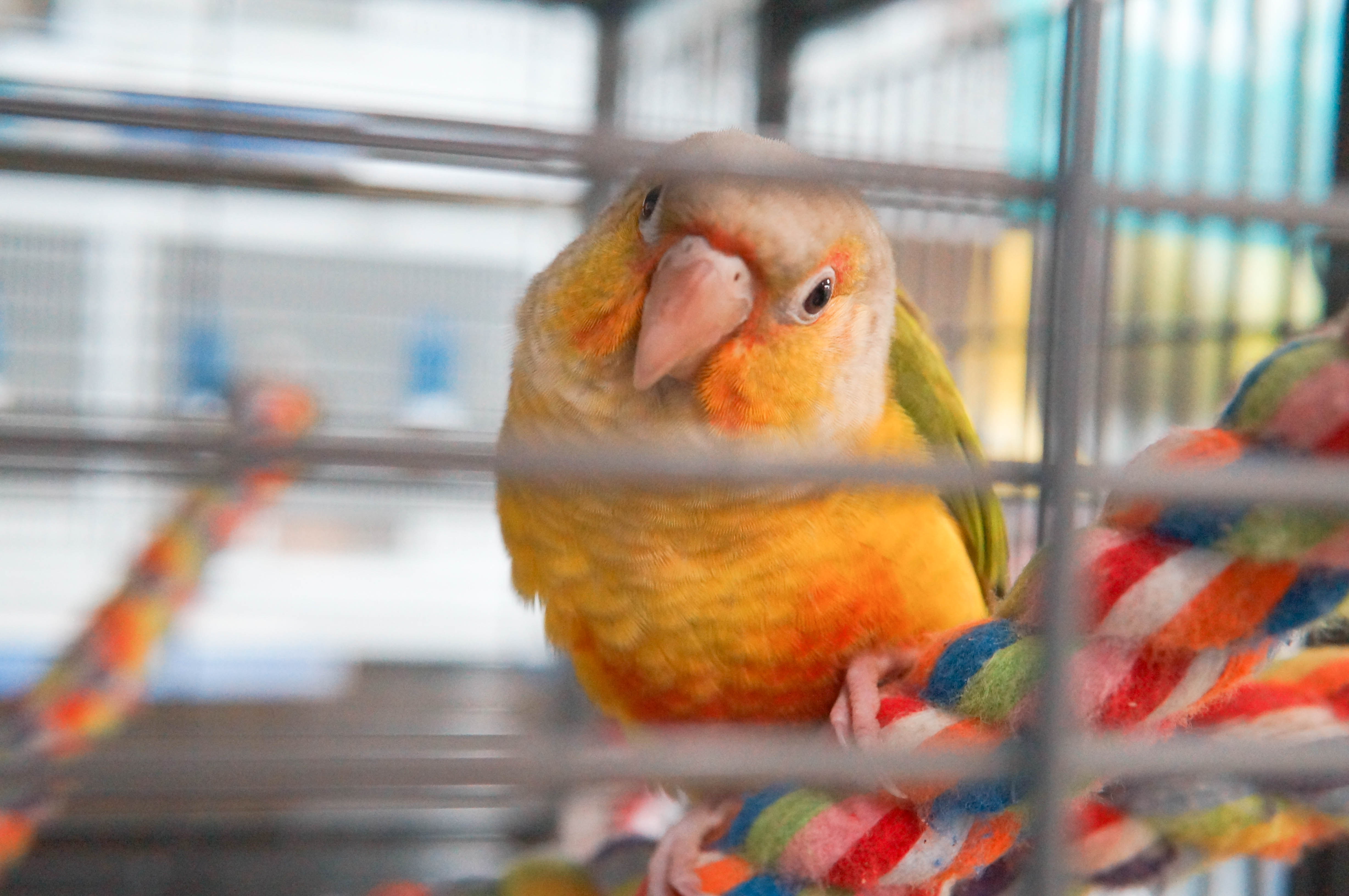 2kSpJRt8YY0vycHqidXYhav2wuIgRZCgZUU8hq0A