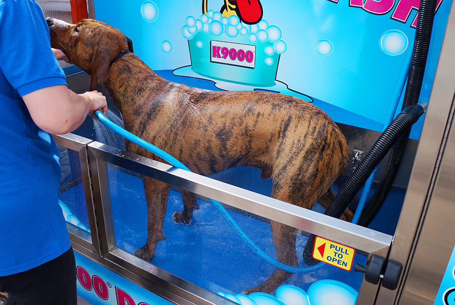 V9SKaxSLRCbqVsVdxSPNISc6dwV60YBYHhVTfU3C