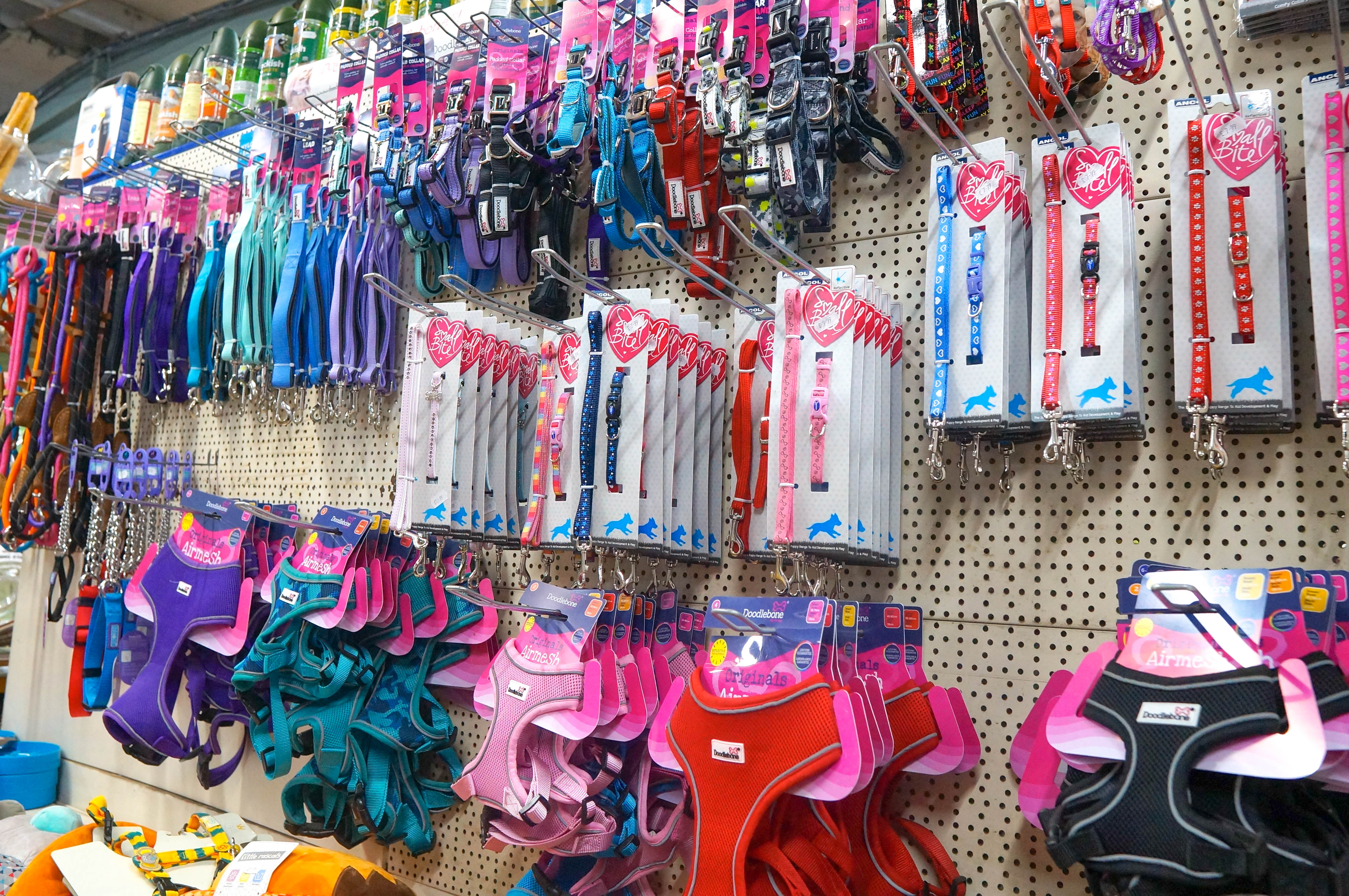 jnggtnpZS6gLwX08gnXzFM1OPyc1B1INySxC7O0A