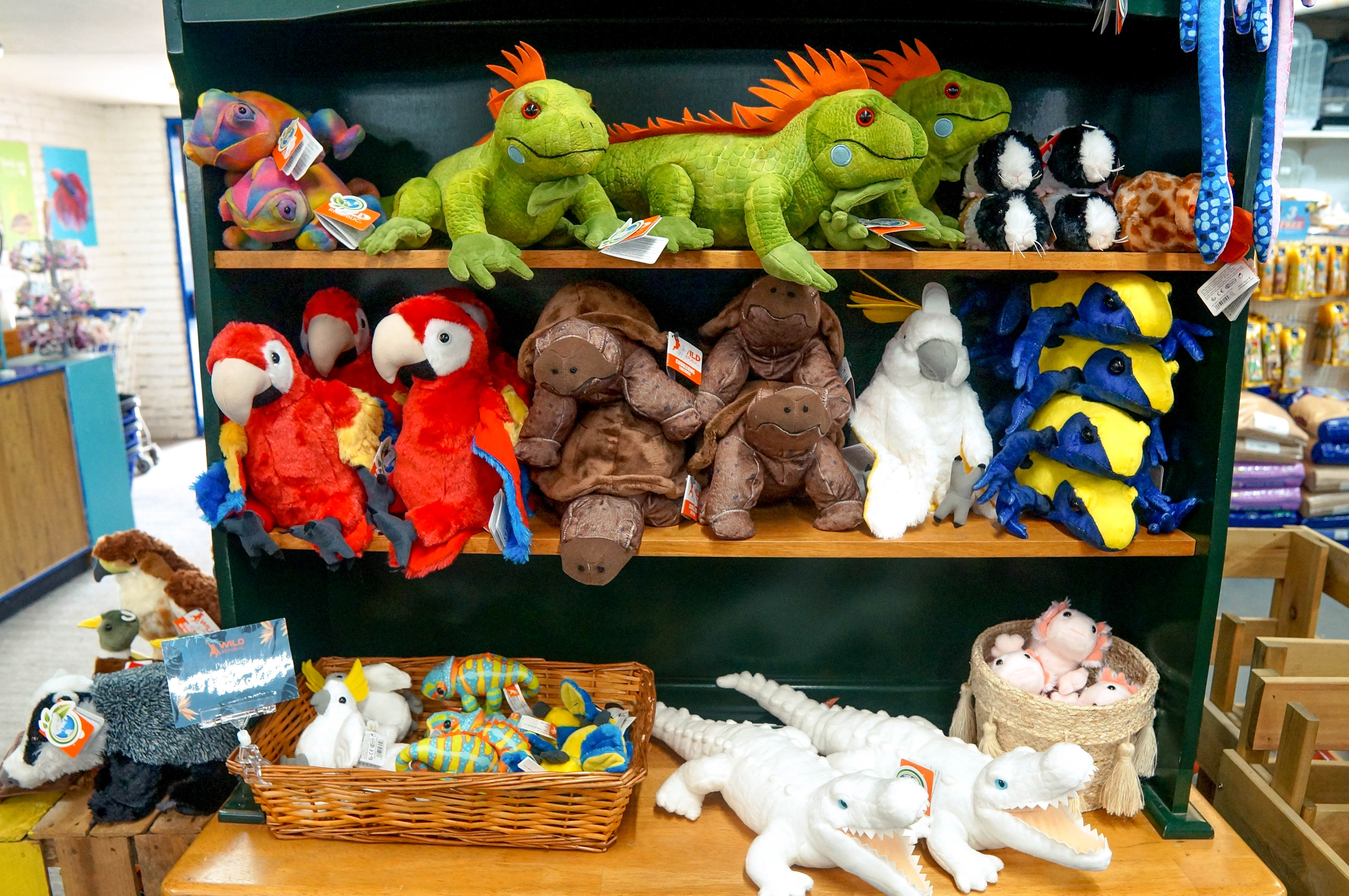 QqUE9tFmVwB14SVAnntWRox5tYznAEeXifYghFg7