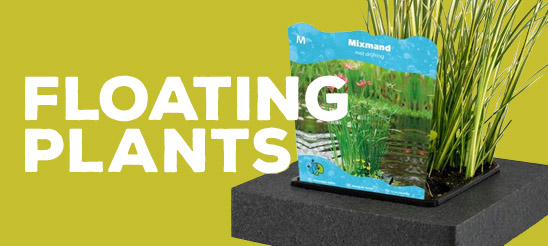 Floating Plants