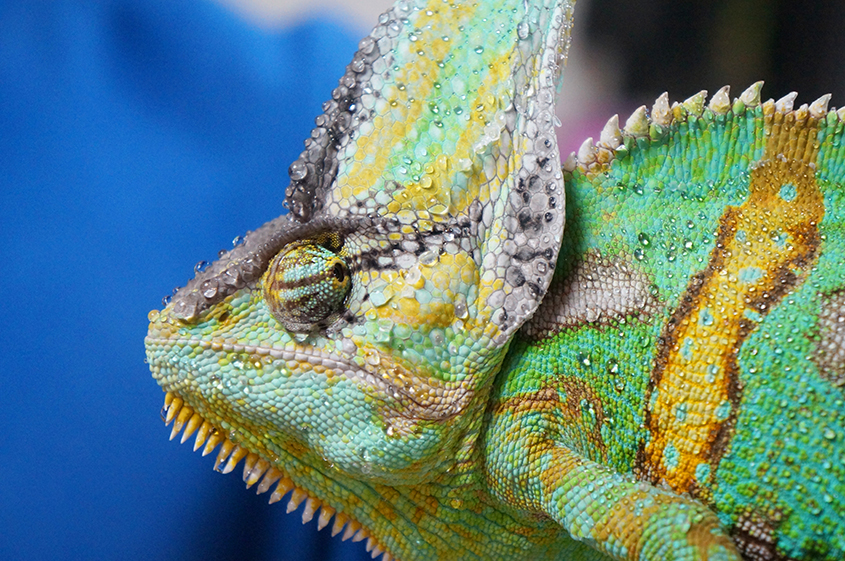 mwt1czMCwwUx28YEaTP7LTiJFGy47Cb2qGUHpi0C