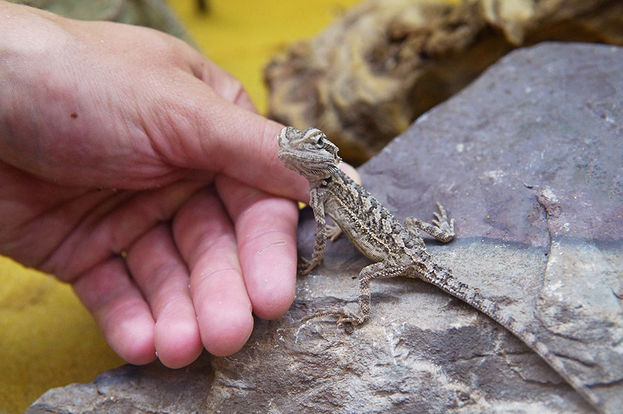 Mp5XFsAVWyQEiMHvZiSpagCu2oOjVZBh6D7If8eY