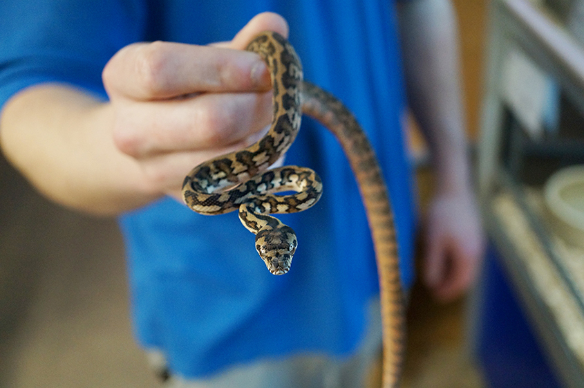 le4kH8JK1dfyitBdkjMbeaNKisO5kMNWaELs9jni