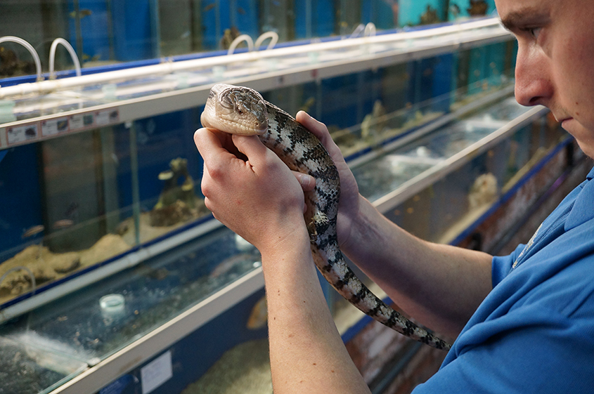 9IntnkaTtQ5B9O3cPdKB3N0n3zOXB8O7EBDQ95Iz