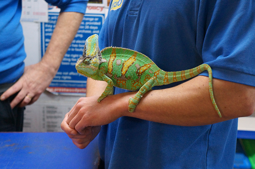 5dQsNYaaqveKRe8nL4citqiIki5FbuQn9DGz6CvG