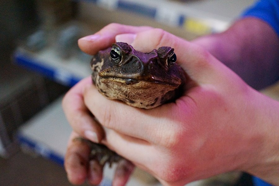 aKPHCVgz3jqrej2OEQQwGw45Q8rqj8J2XRJKTp3f