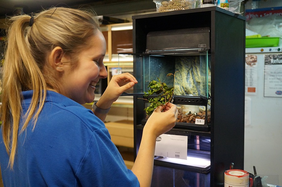 IUmW92t0RoN8b1uu3q4Zn00xzKZOifYk125dPzJ4