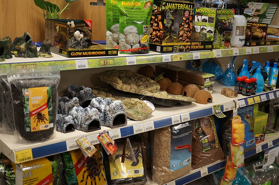 5PZuDkw89YoT5L9kS6zzspswTwDcvr13Y2iPXMHq