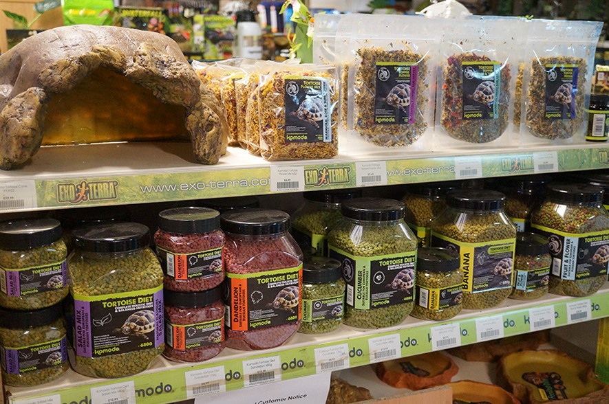 LzmX1jUR23uc0L1siu6h9tzffgIdrW6vOQD0UEyc