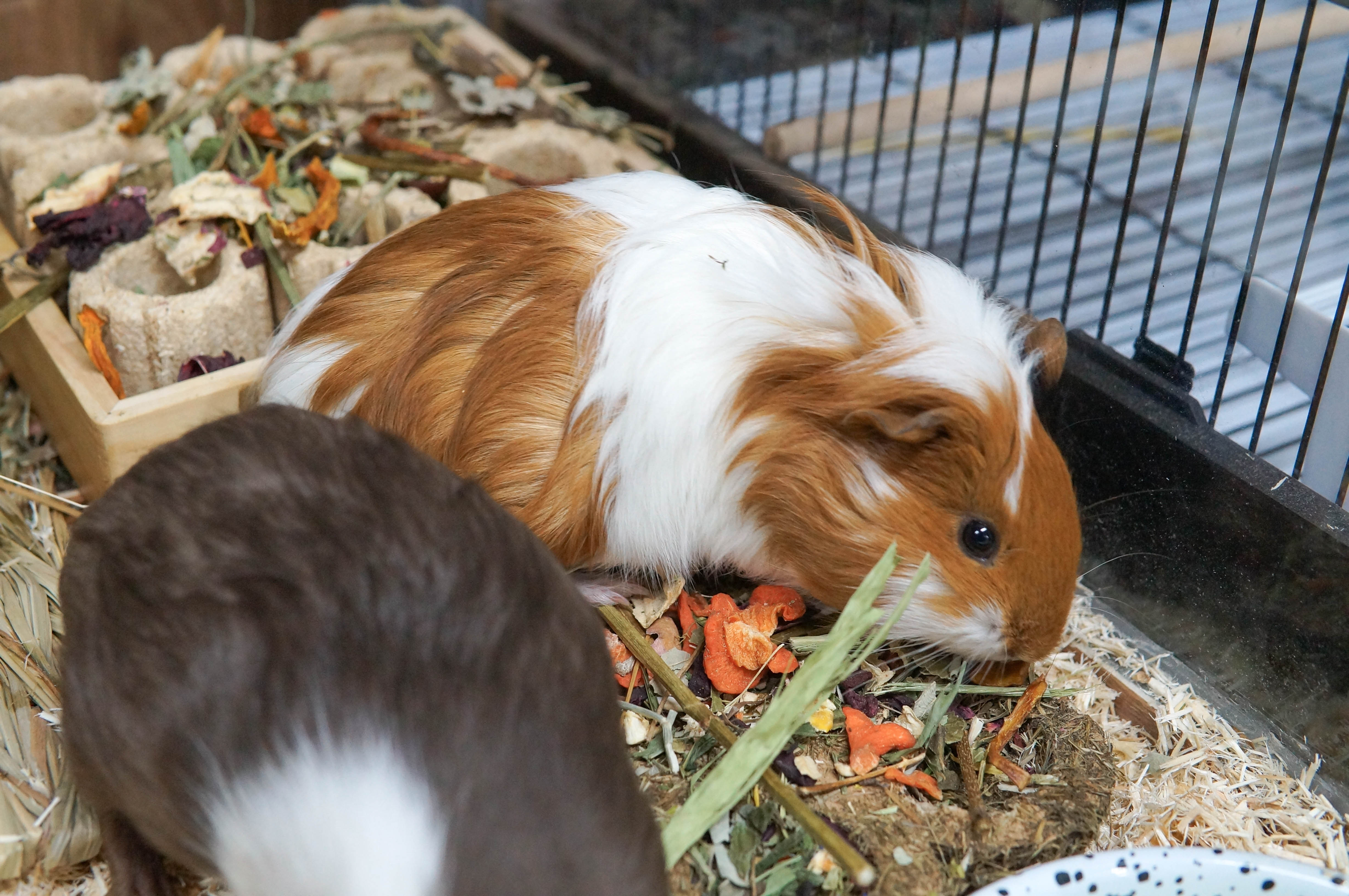 W7u0uIpNw5C8cr5vOLzGSWB5RrXgFjLtyN6kFx6w