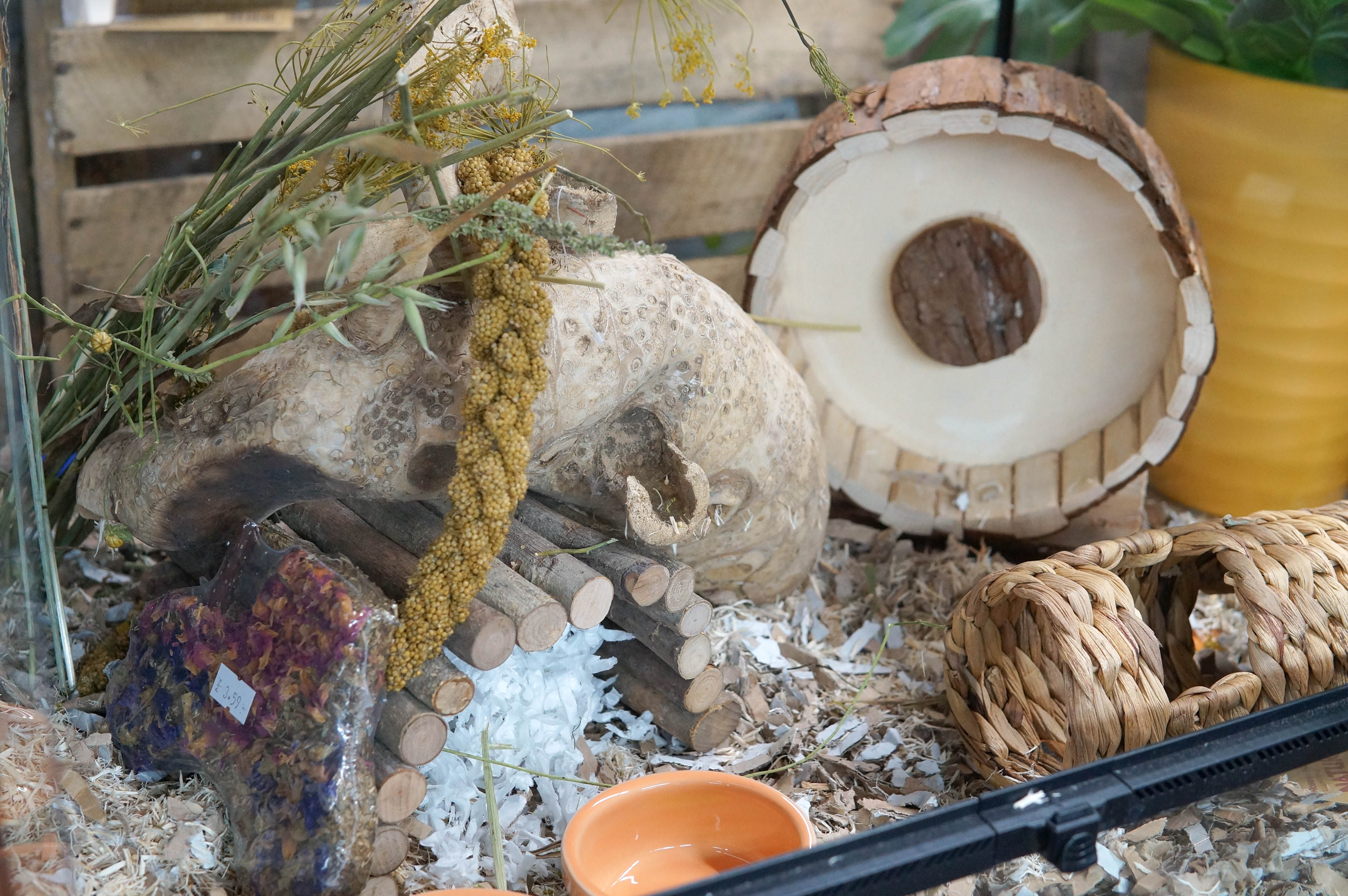 RyeOP8THXjr8tXct2WXixsXEr7OtZIyNn9I1iTGt