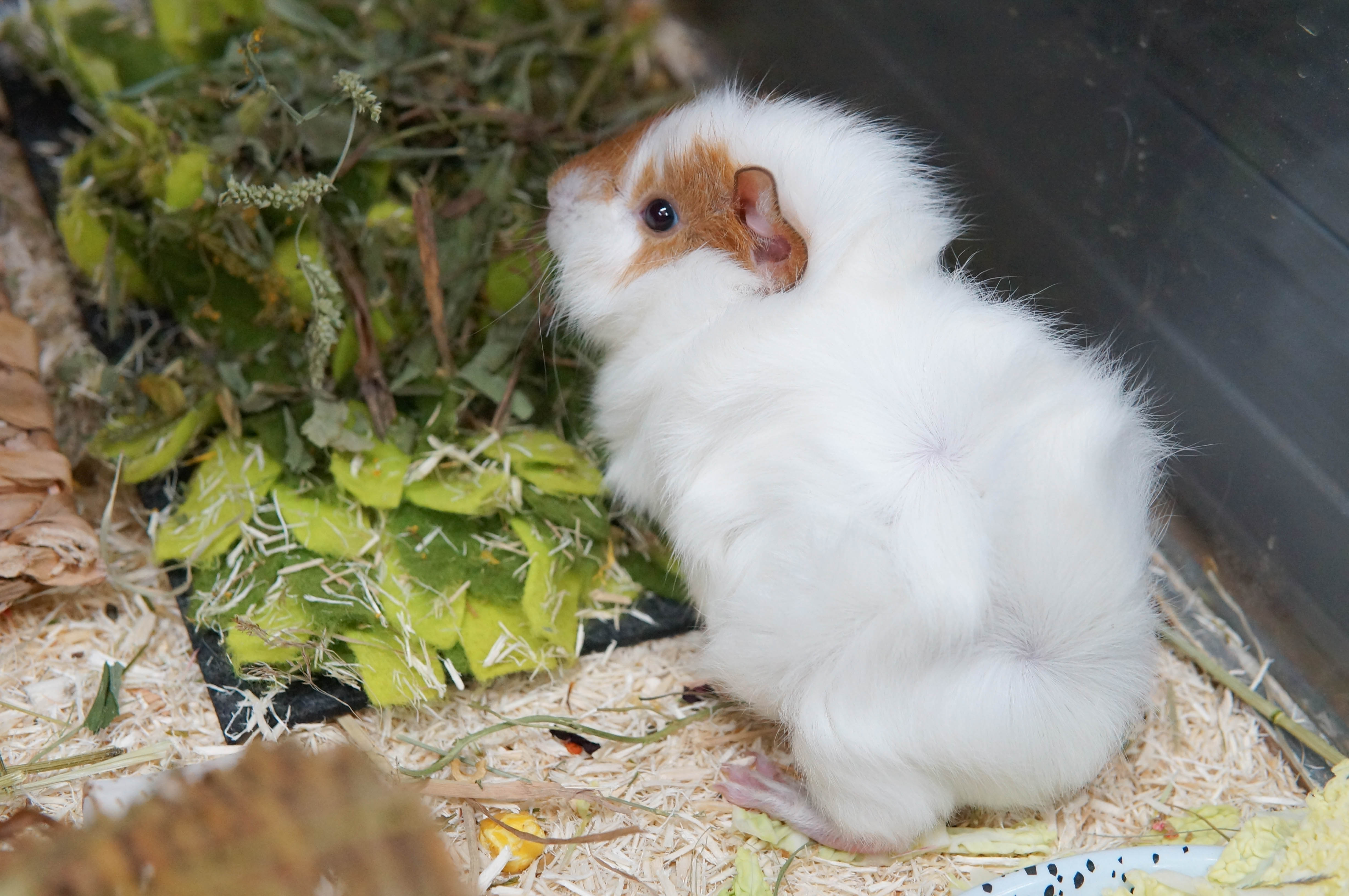 McO5k87hoN6IONA8yfq64u94E5qwBufmlDPnVnbm