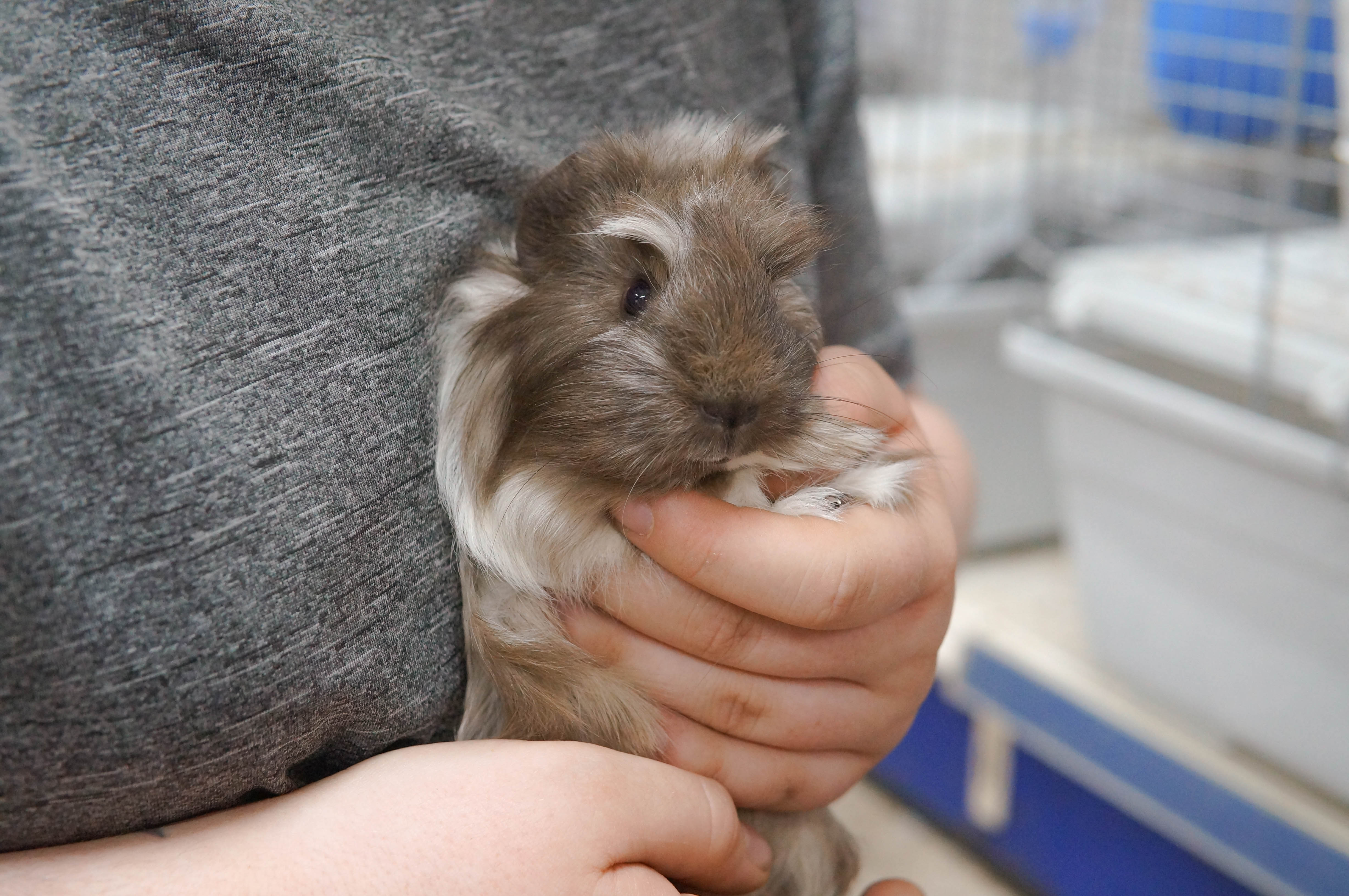 zwQ9pYsUl6N8iJYkwnideUpwCxnE5exYr0iaWvML