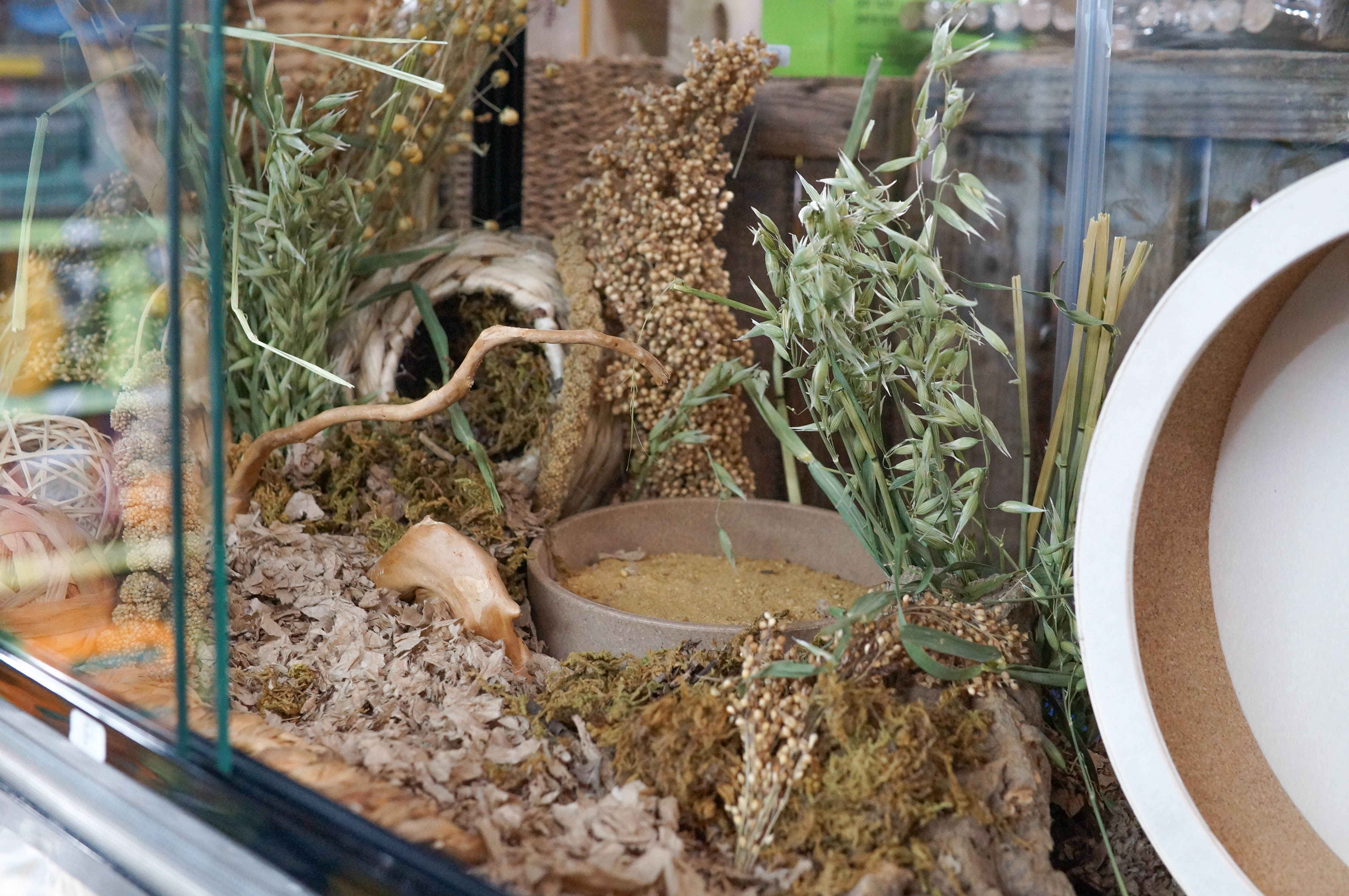 7VObzsUBsHA0e7tjL4Bd0UCc4s1N5g4ztraEX3XR