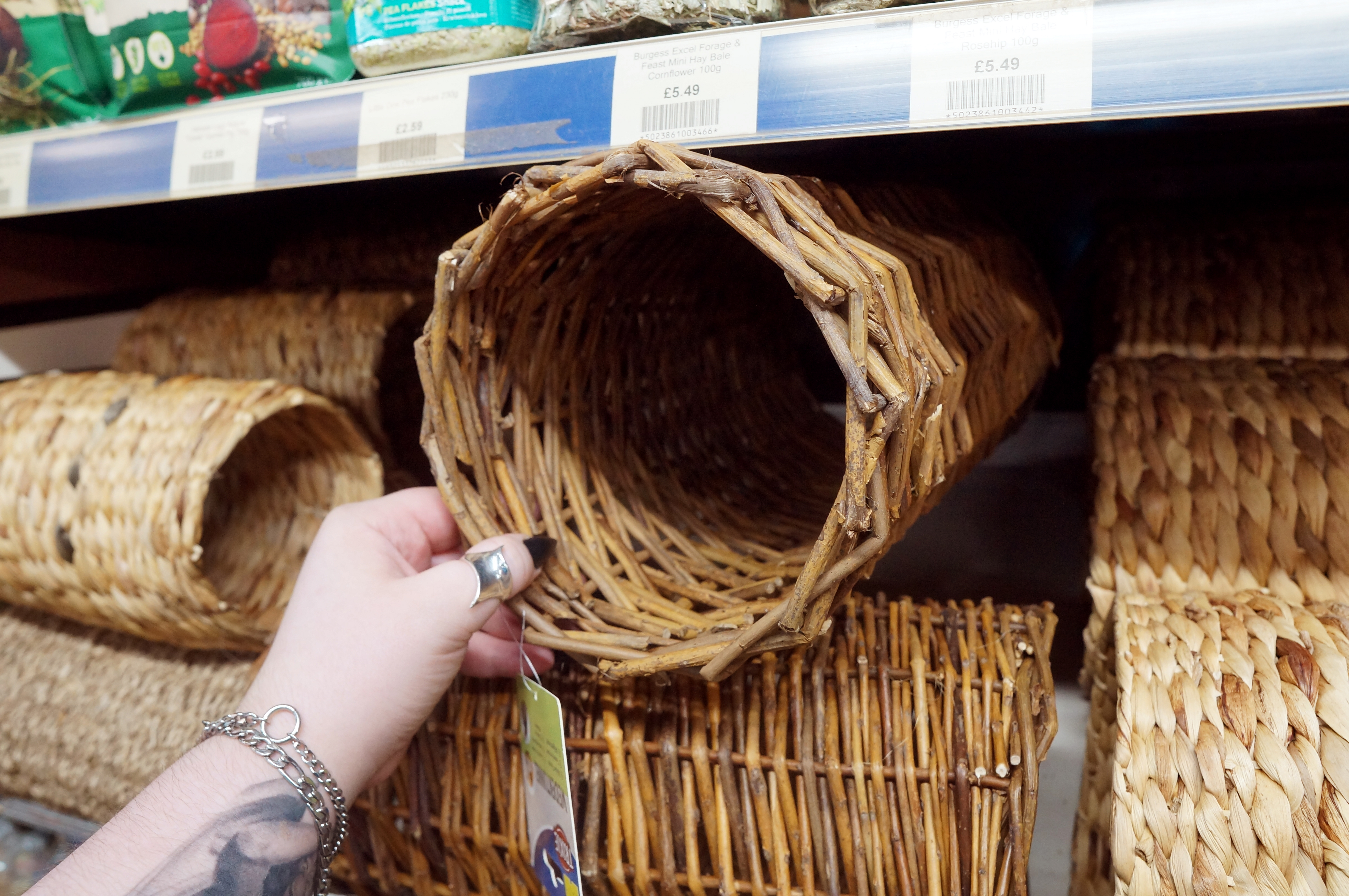 i73kDVRnbJ9ahErubbGfBmRT48kTky6hBFFjXIhL