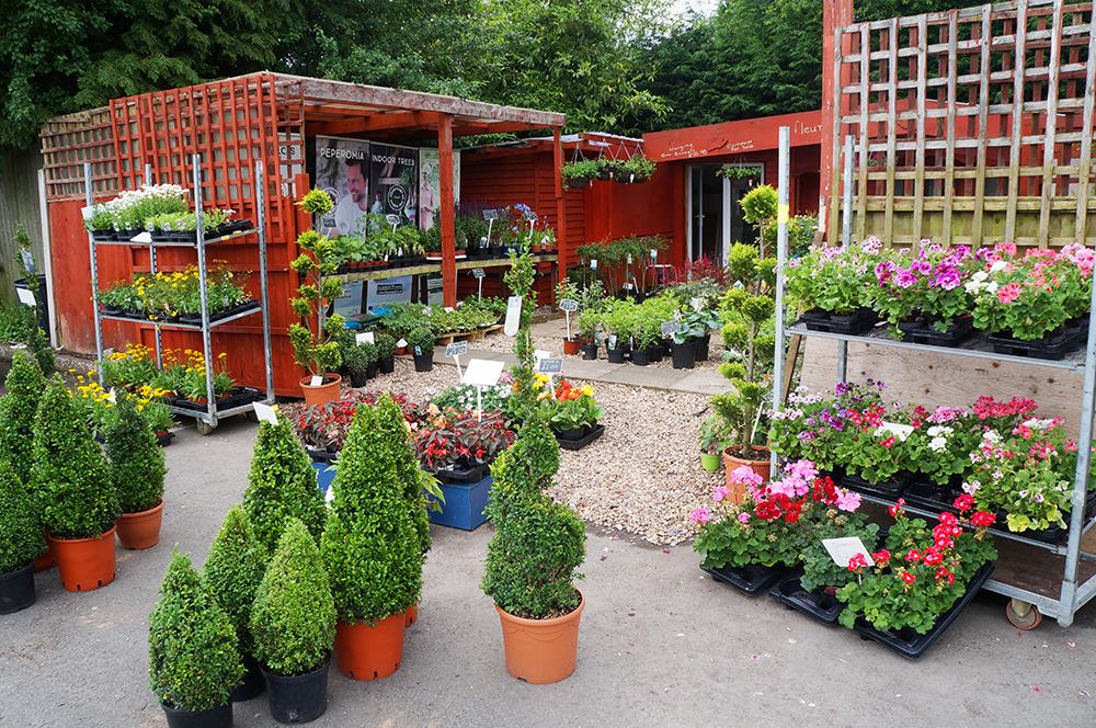 WwI3AUQ4kIRySWE2xYYrq1gasfVsEaLY49Vj96qF