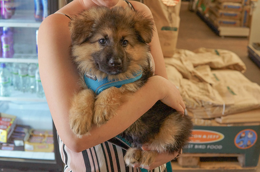 auppS5zZhnNRUpG7VzZtD0f5yBBcgADBnQrarkp4