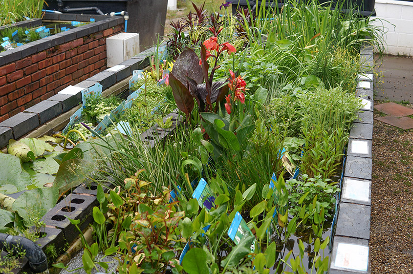 kDquRtRWxOxmeLTsqTrneeYcW49Ay4PussPIBzRn