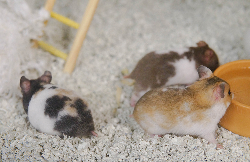 MWPvYI4xjxYgoFazbsyOzvVc2mHZ5hLO5mK1Chn1