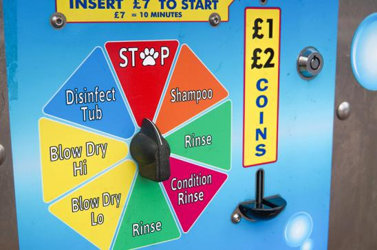 Self-service dog wash