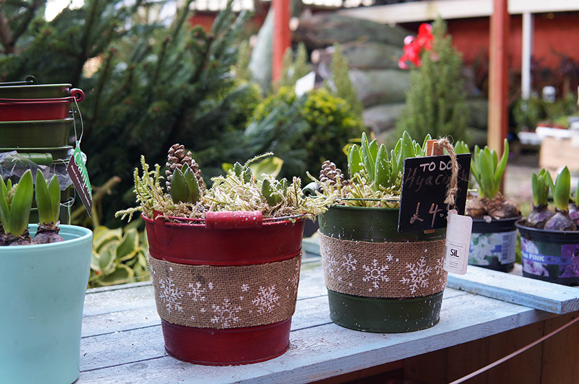 yLZZlOXzgFEWAN6sdY4pDHEWqHAKWjaZu3HZhw3R