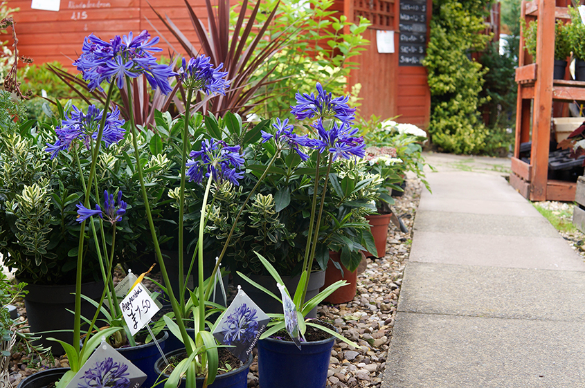 PTYysYTt9EahP9dDJ8qGNlIN4LLkWA2tVdh1JFWb