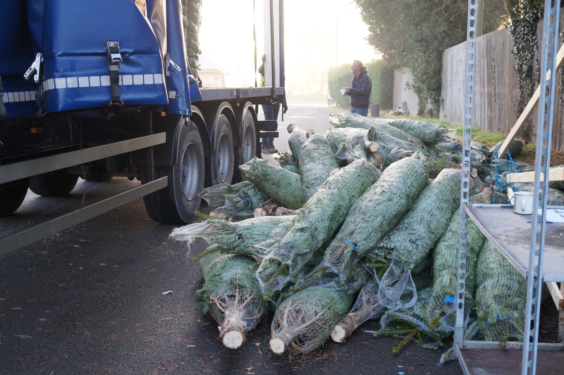 GMbBqm3Nbdr1c9iugHcVEQpeadnL8JXPmQVGUp4k