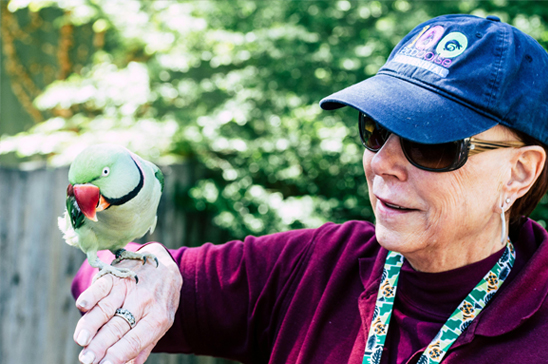 Visit with your pets