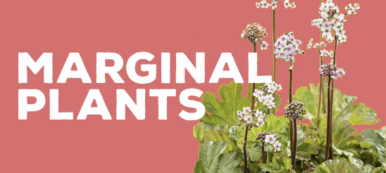 Marginal Plants