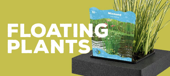 Floating Plants