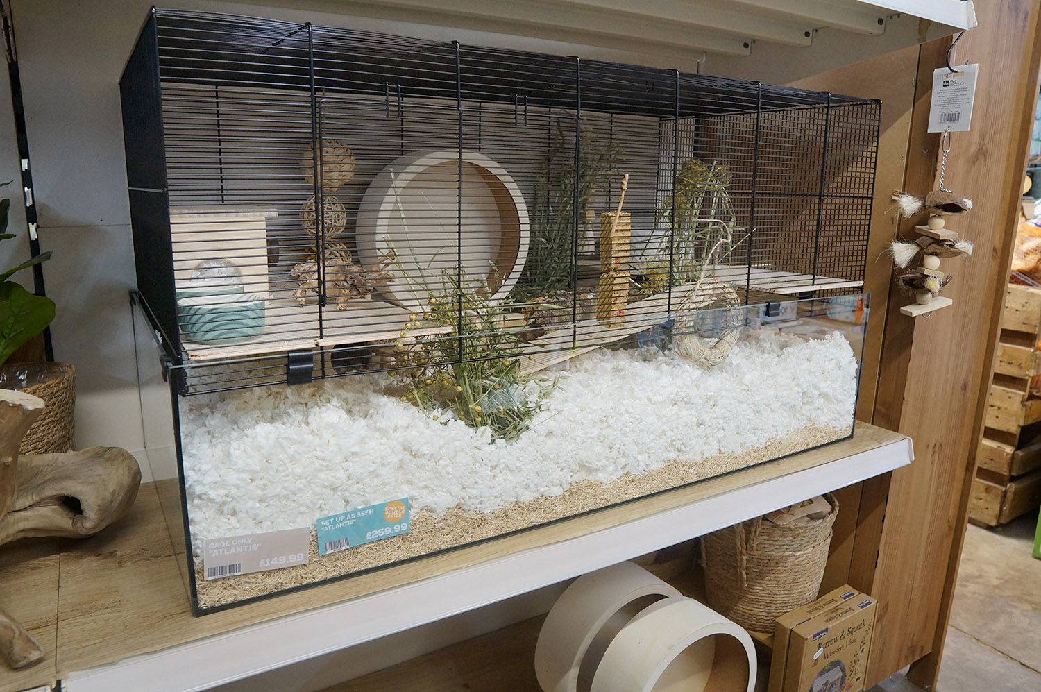 Small Animal Accessories